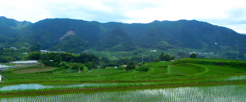世界農業遺産認定！日本が誇るふるさとの暮らし「高千穂郷・椎葉山地域」