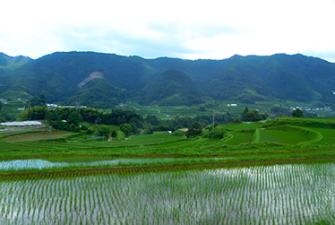 世界農業遺産認定！日本が誇るふるさとの暮らし「高千穂郷・椎葉山地域」