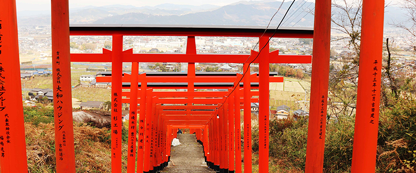 景色に映える赤鳥居「浮羽稲荷神社」91基の鳥居が見守るうきはの街